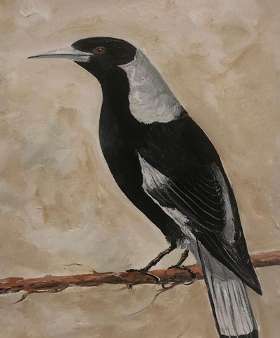 Magpie.jpg