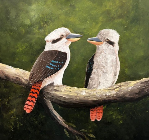 Kookaburras.jpg