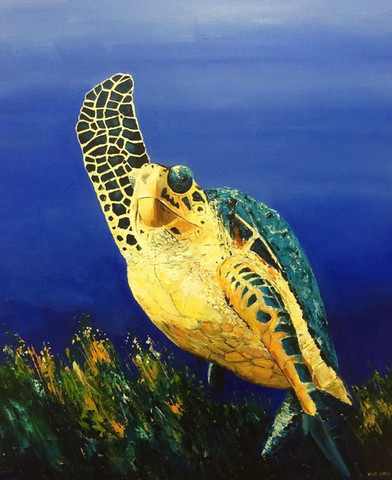 Hawksbill turtle.jpg