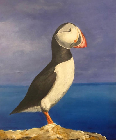 Puffin.jpg